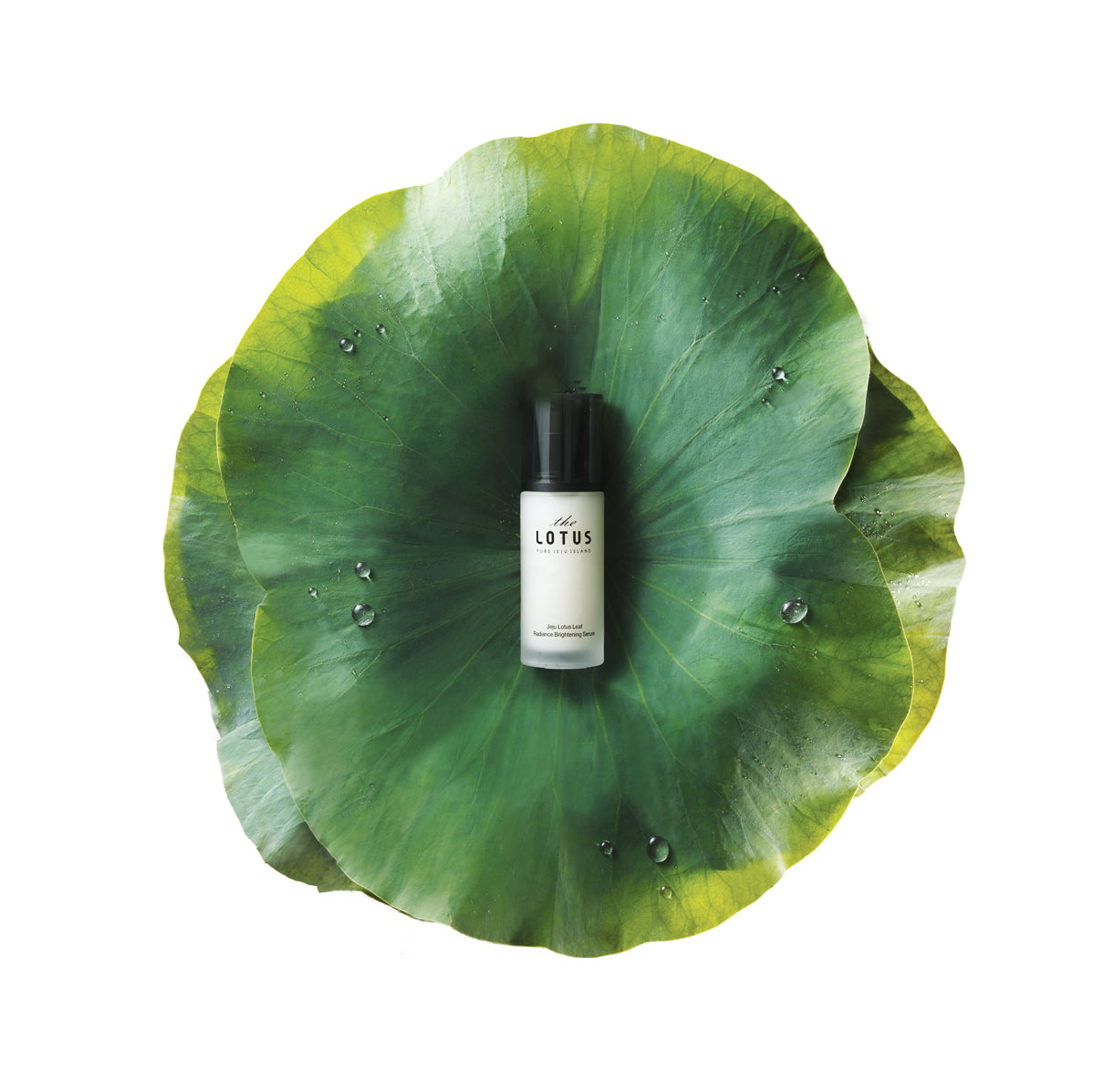The Lotus Leaf Extract Sleeping Pack Review by @skincarebymoonlight