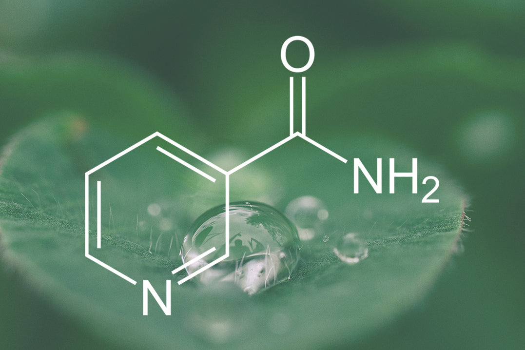 ALL ABOUT NIACINAMIDE