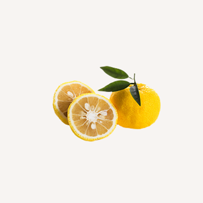 Citrus Collection