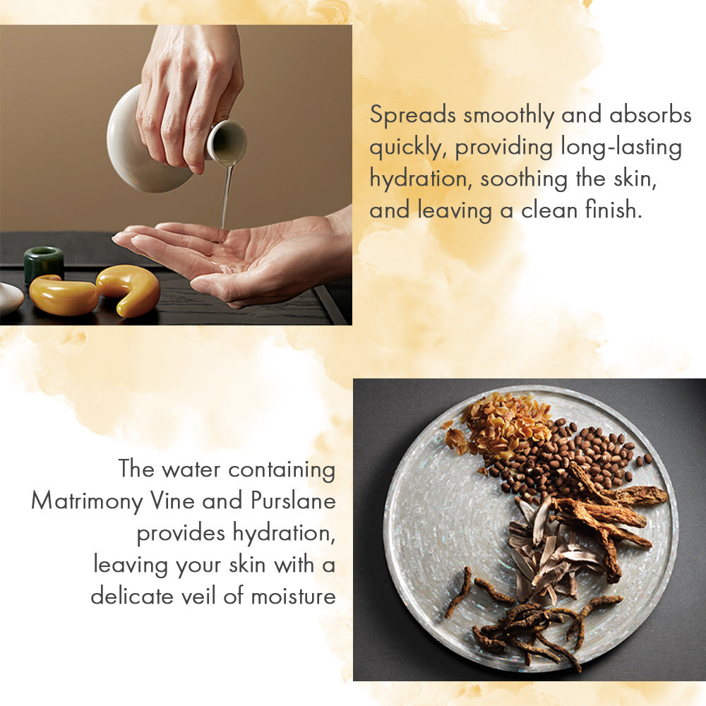 Sulwhasoo Essential Balancing Water EX - Goryeo Cosmetics worldwide shop 